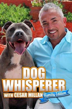 dog whisperer with cesar millan