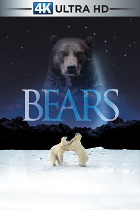 poster for Bears