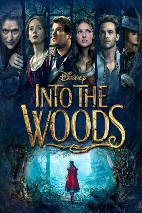 poster for Into the Woods