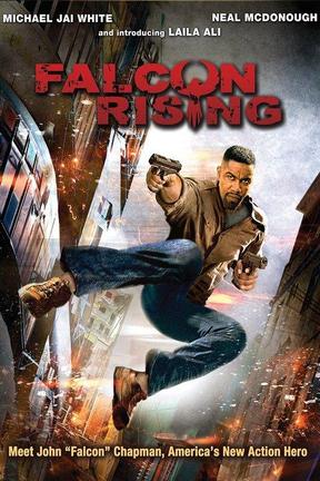 poster for Falcon Rising