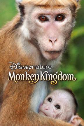 poster for Monkey Kingdom