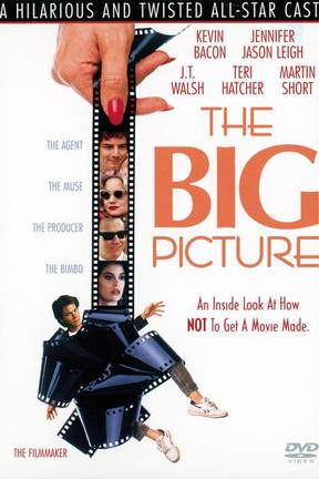 poster for The Big Picture