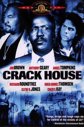poster for Crack House