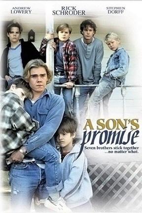 poster for A Son's Promise