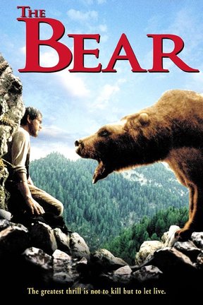 poster for The Bear
