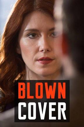 poster for Undercover Wife