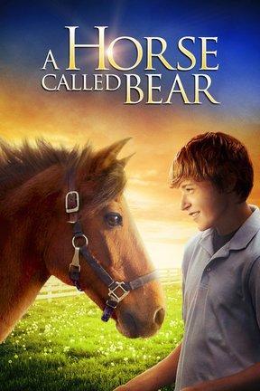 poster for A Horse Called Bear
