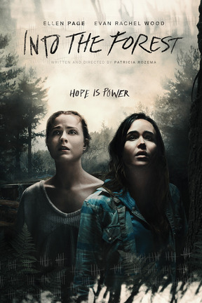 poster for Into the Forest