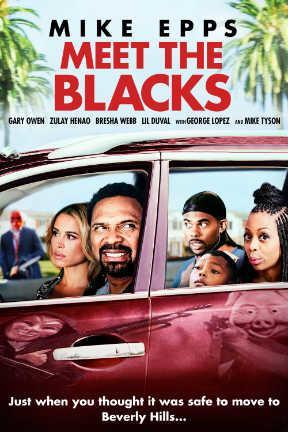poster for Meet the Blacks