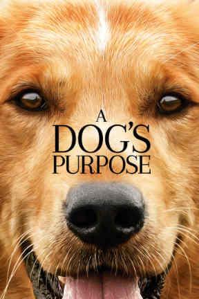 poster for A Dog's Purpose