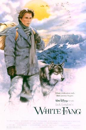 poster for White Fang