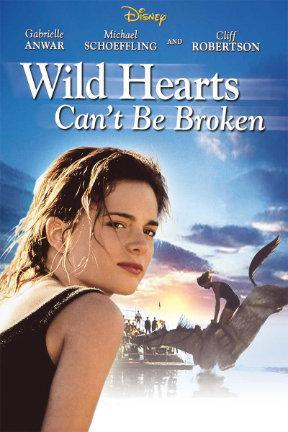 poster for Wild Hearts Can't Be Broken