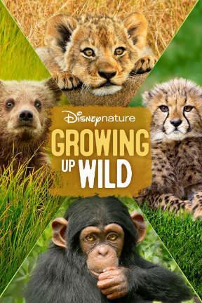 poster for Growing Up Wild
