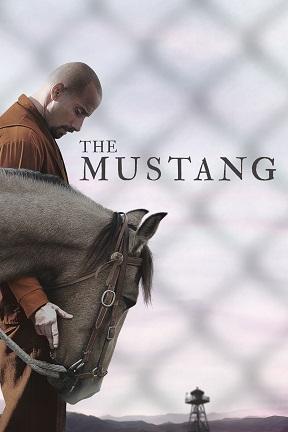 poster for The Mustang