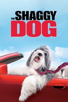 The Shaggy Dog: Watch Full Movie Online | DIRECTV