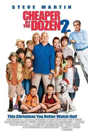 poster for Cheaper by the Dozen 2