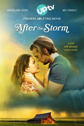 poster for After the Storm