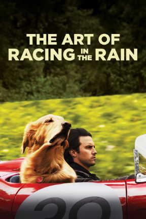 poster for The Art of Racing in the Rain
