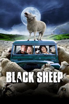 poster for Black Sheep