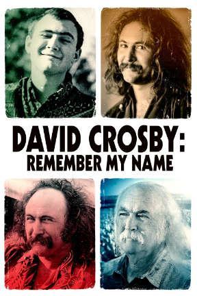poster for David Crosby: Remember My Name