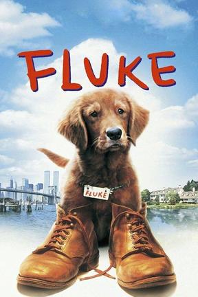 poster for Fluke