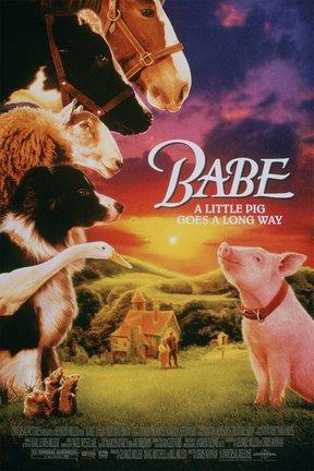 poster for Babe