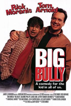 poster for Big Bully