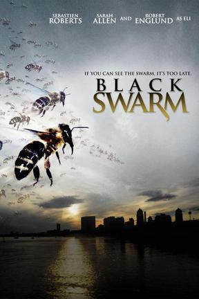 poster for Black Swarm