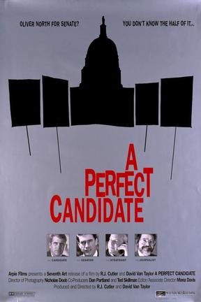 poster for A Perfect Candidate