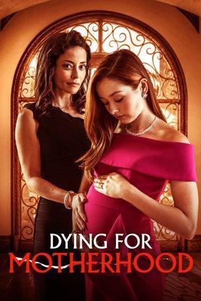 poster for Dying for Motherhood