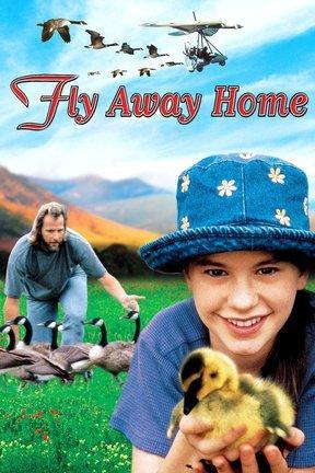 poster for Fly Away Home