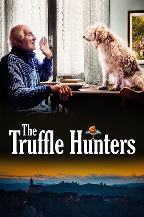 poster for The Truffle Hunters
