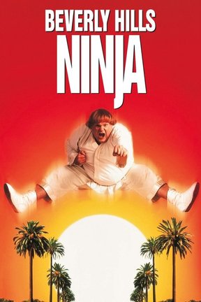 poster for Beverly Hills Ninja
