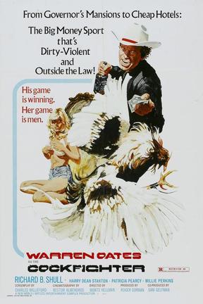 poster for Cockfighter