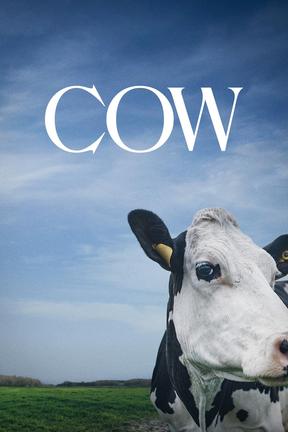 poster for Cow