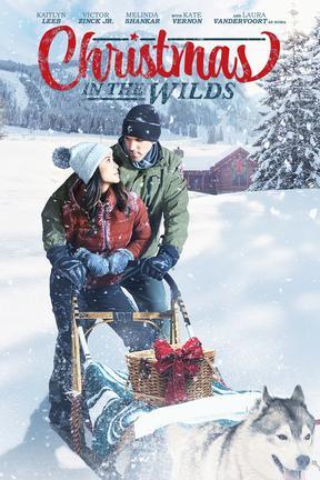 poster for Christmas in the WIlds