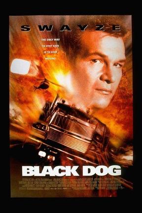 poster for Black Dog