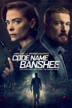 poster for Code Name Banshee