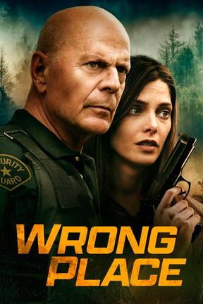 poster for Wrong Place