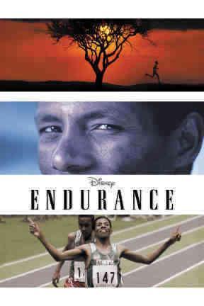 poster for Endurance