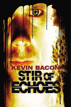 poster for Stir of Echoes