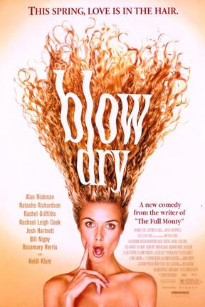 poster for Blow Dry