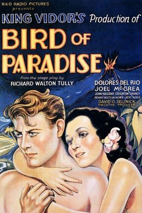 poster for Bird of Paradise