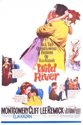 poster for Wild River