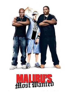poster for Malibu's Most Wanted