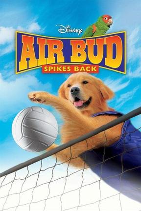 poster for Air Bud: Spikes Back