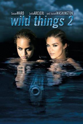 poster for Wild Things 2