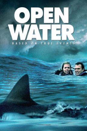 poster for Open Water