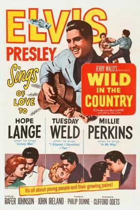 poster for Wild in the Country