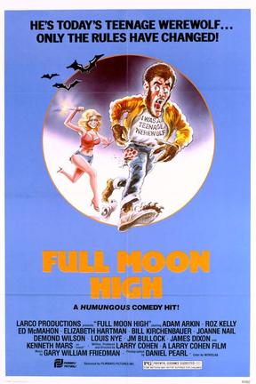 poster for Full Moon High